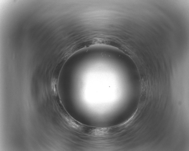 X0000066100094200603131241