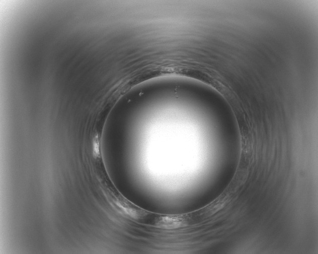 X0000066100095200603131241