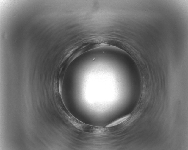 X0000066100096200603131241