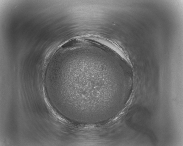 X0000066100097200603131240