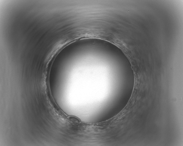 X0000066100098200603131240