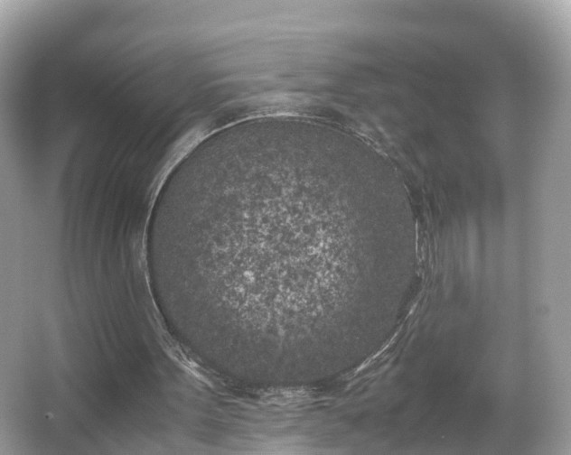 X0000066100099200603131240