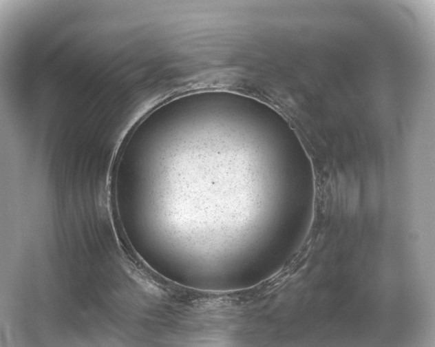 X0000066100100200603131240