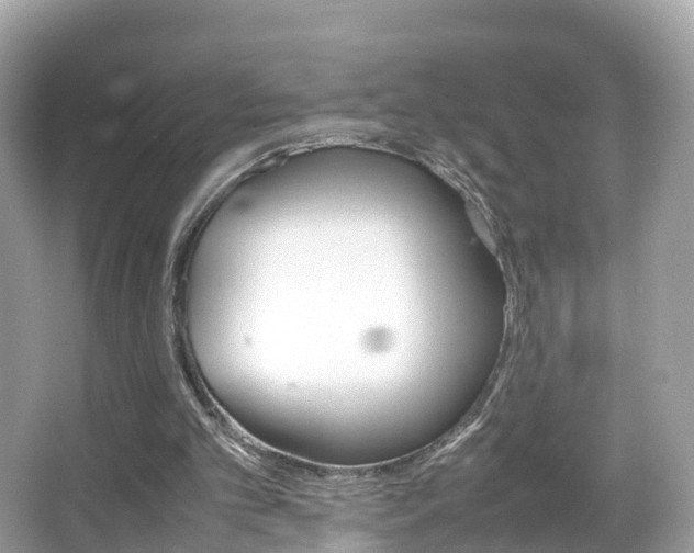 X0000066100101200603131240