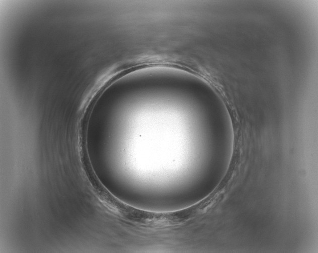 X0000066100103200603131240