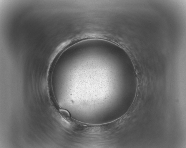 X0000066100104200603131240