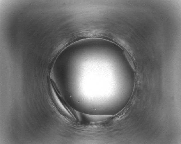 X0000066100105200603131240