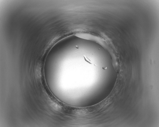 X0000066100106200603131240