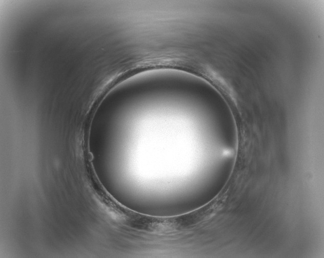 X0000066100107200603131240