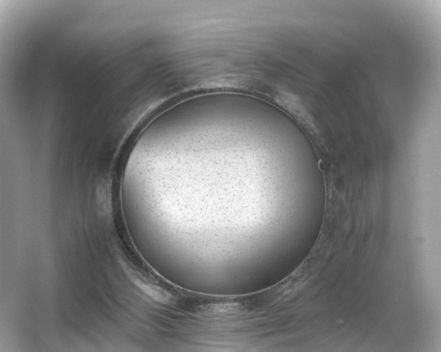 X0000066100108200603131240