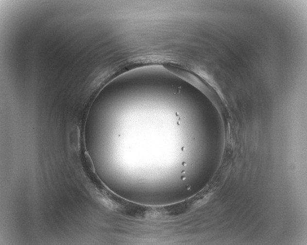 X0000066100109200603131240