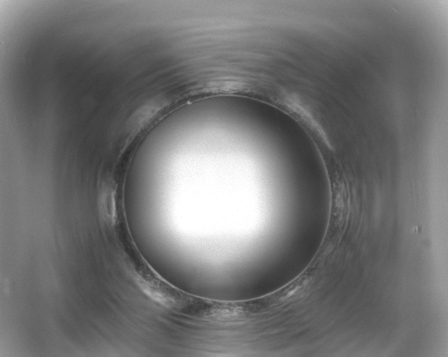 X0000066100110200603131240