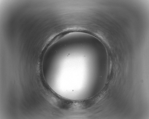 X0000066100111200603131240