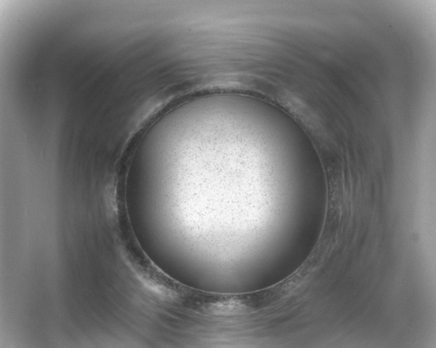 X0000066100112200603131240