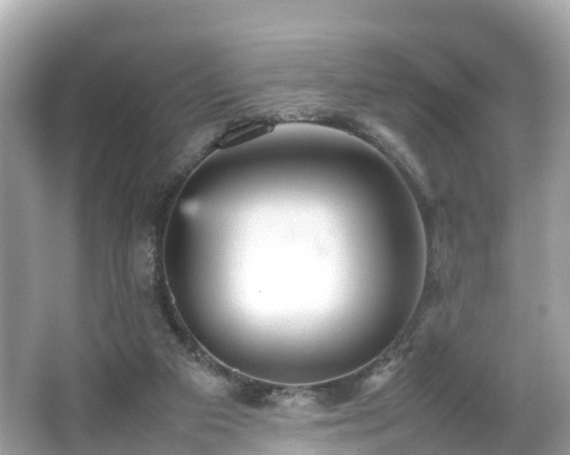 X0000066100113200603131240