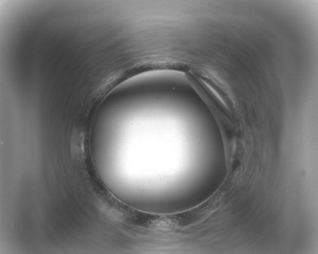 X0000066100115200603131240