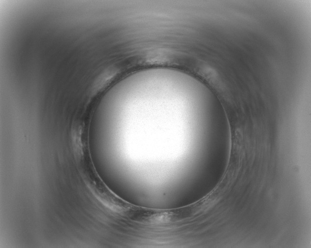 X0000066100116200603131240