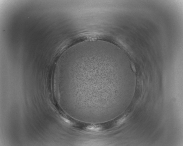 X0000066100117200603131240