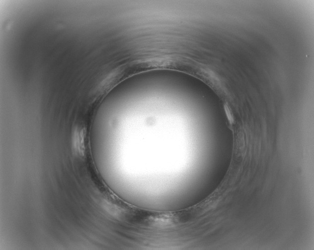 X0000066100118200603131240