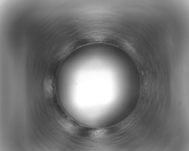 X0000066100122200603131240