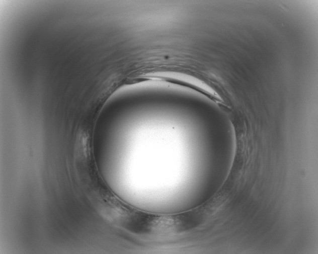 X0000066100123200603131240