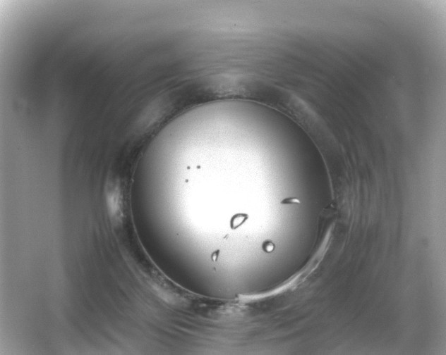 X0000066100124200603131240