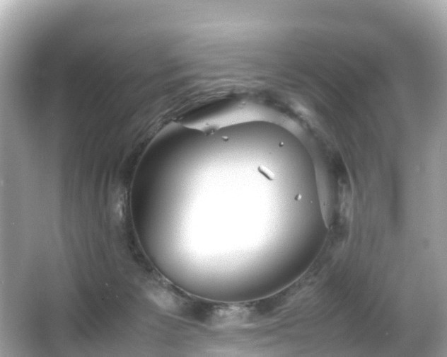 X0000066100125200603131240