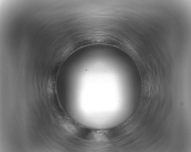 X0000066100126200603131240