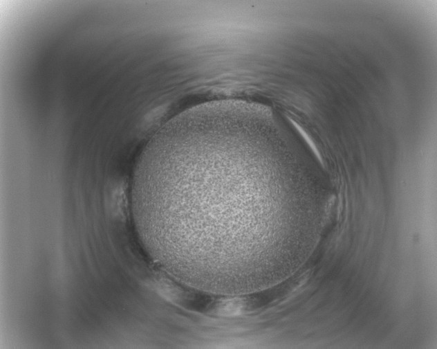 X0000066100127200603131240