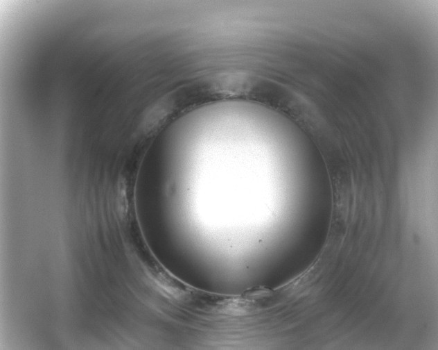 X0000066100128200603131240