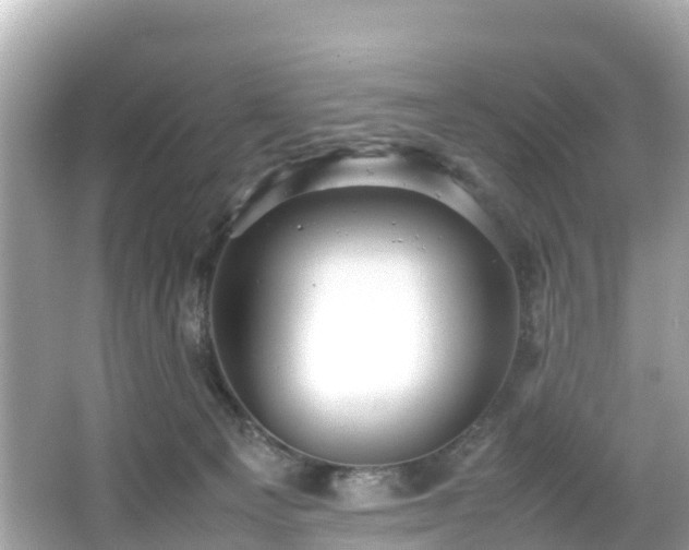 X0000066100129200603131240