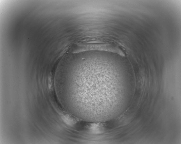 X0000066100130200603131240