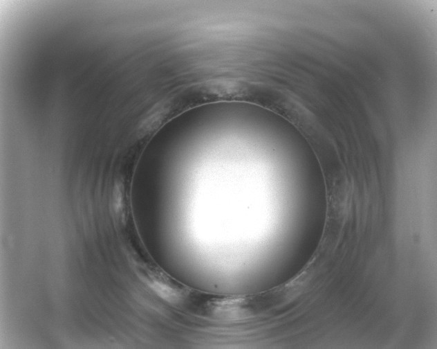 X0000066100132200603131240