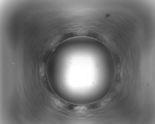 X0000066100133200603131240