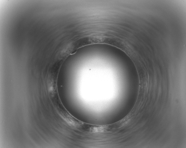 X0000066100134200603131240