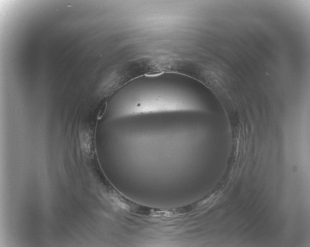 X0000066100139200603131240