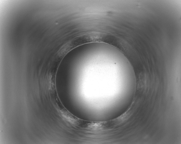 X0000066100140200603131240