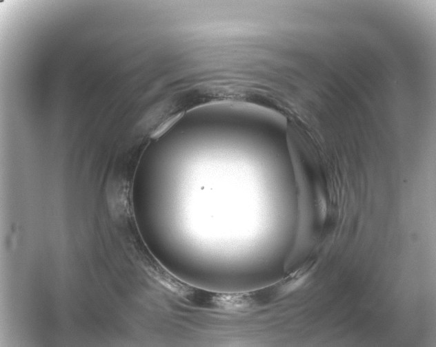 X0000066100141200603131240