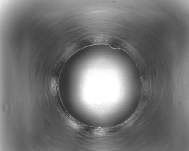 X0000066100142200603131240