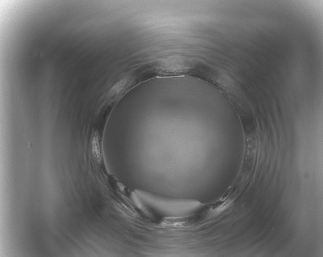 X0000066100143200603131240