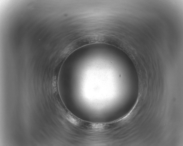 X0000066100144200603131240