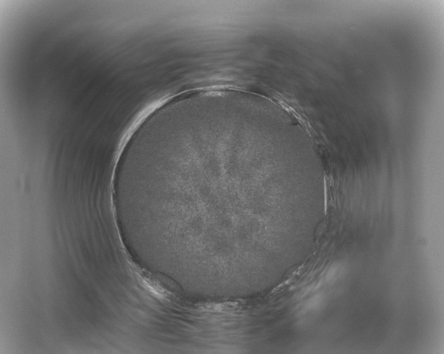 X0000066100147200603131239