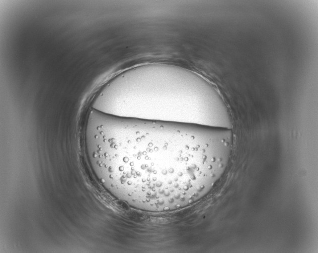 X0000066100149200603131239