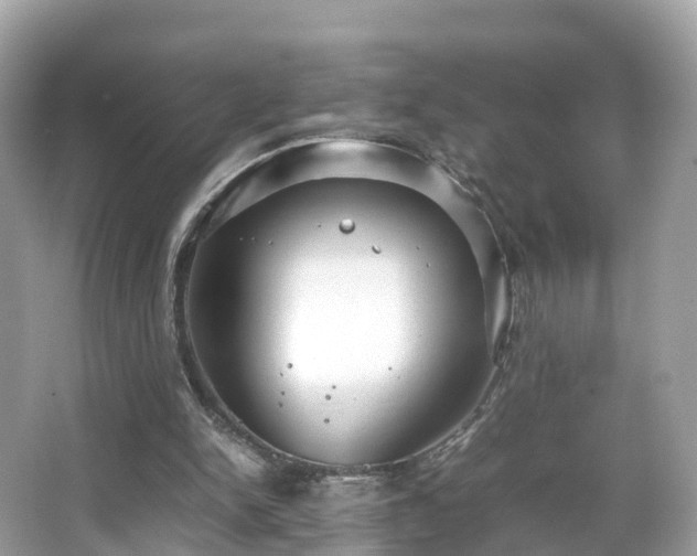 X0000066100150200603131239