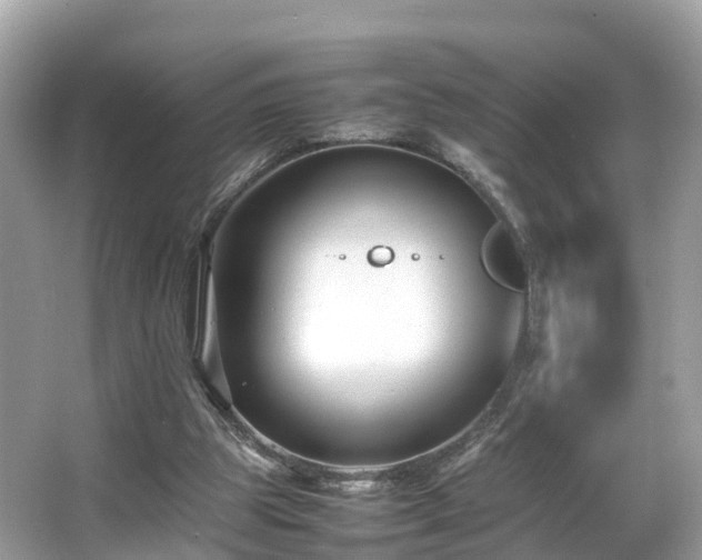 X0000066100153200603131239