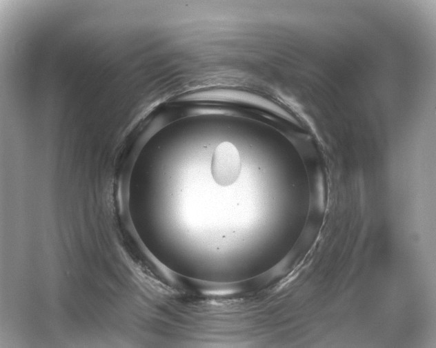 X0000066100154200603131239