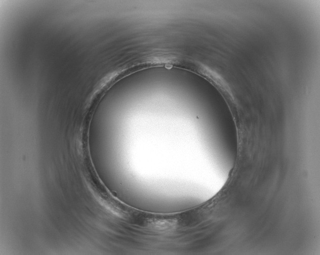 X0000066100155200603131239