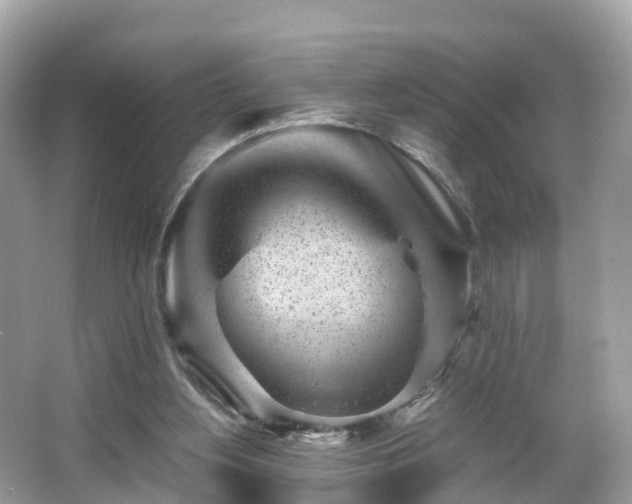 X0000066100156200603131239