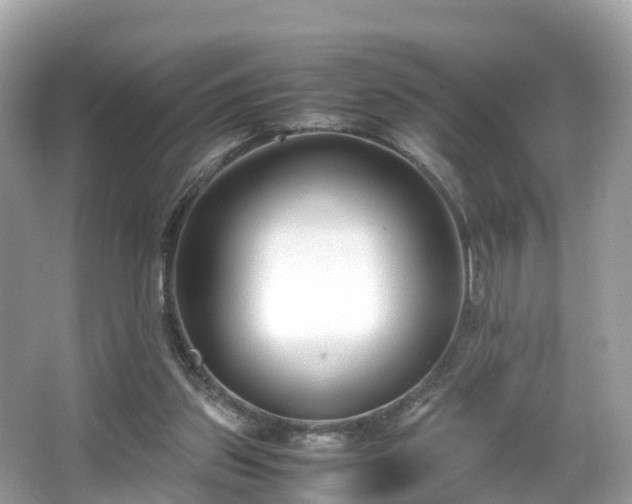 X0000066100157200603131239