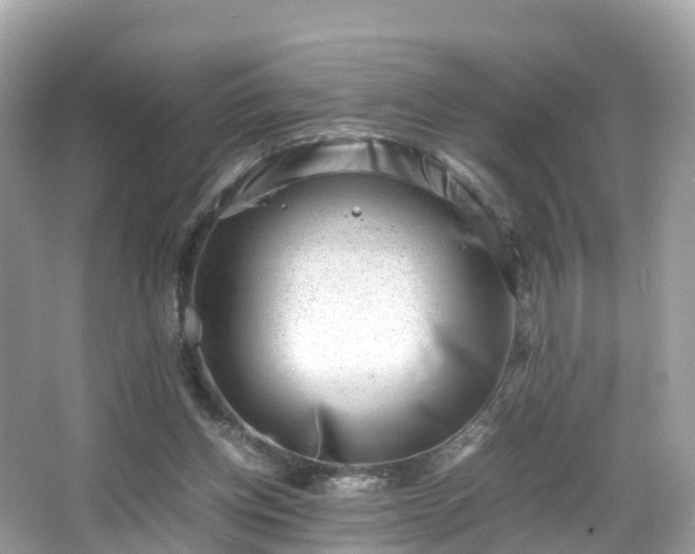 X0000066100158200603131239